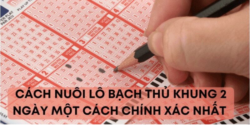 Bí quyết để nuôi lô bạch thủ khung 2 ngày thành công