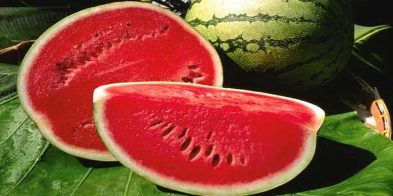 Các giấc mơ thấy dưa hấu thường gặp