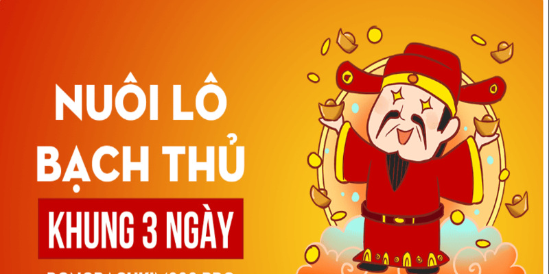 Cách nuôi lô bạch thủ khung 3 ngày hiệu quả