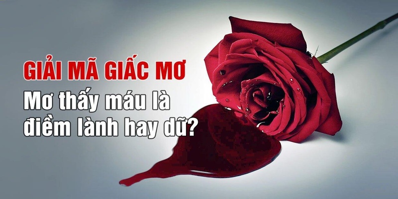 Chiêm bao thấy máu