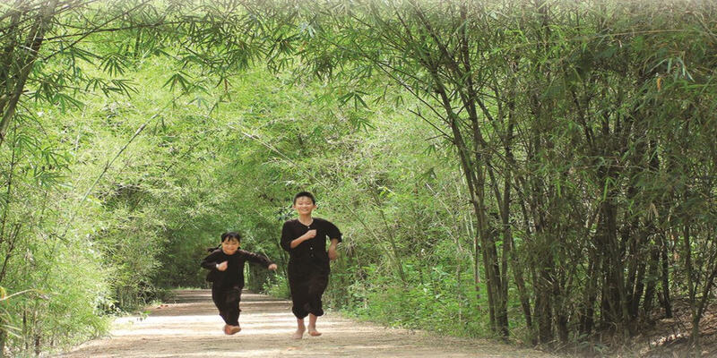 Mơ thấy lũy tre làng có ý nghĩa gì?