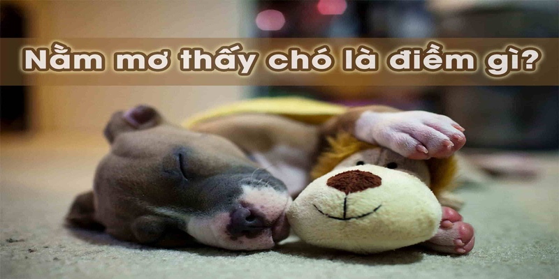 nằm mơ thấy chú chó