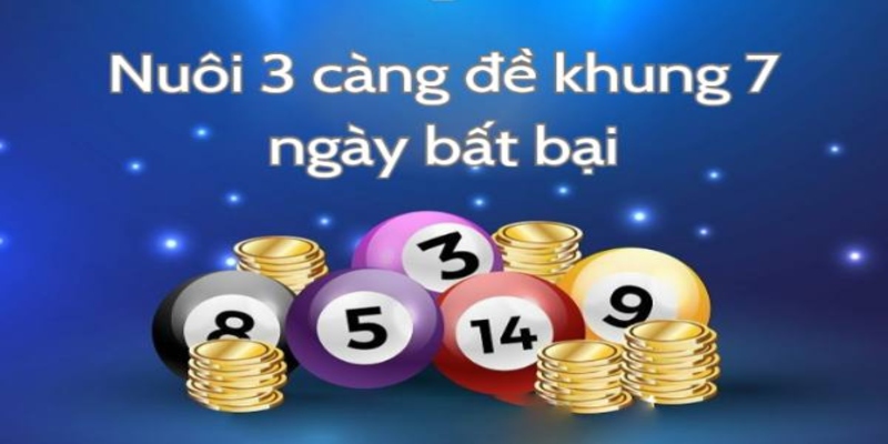 Nuôi 3 càng khung 7 ngày