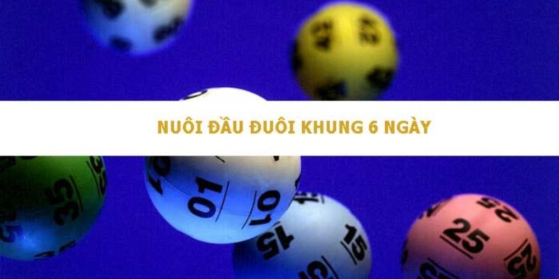 Nuôi đầu đuôi khung 6 ngày VIP