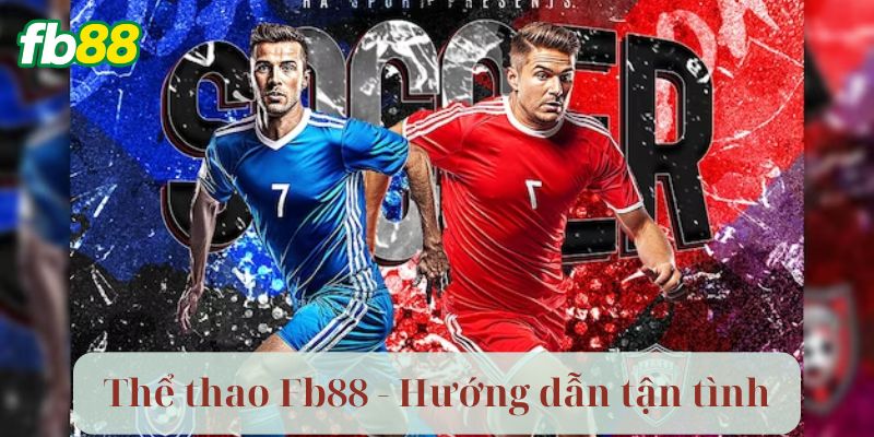 Chuyên gia hướng dẫn khi chơi tại Fb88