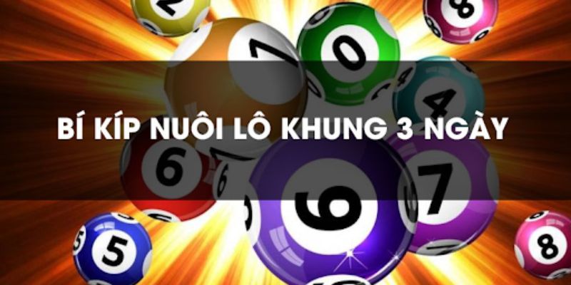 Điểm Nổi Bật Và Hạn Chế Của Việc Nuôi Lô Đề Khung 3 Ngày