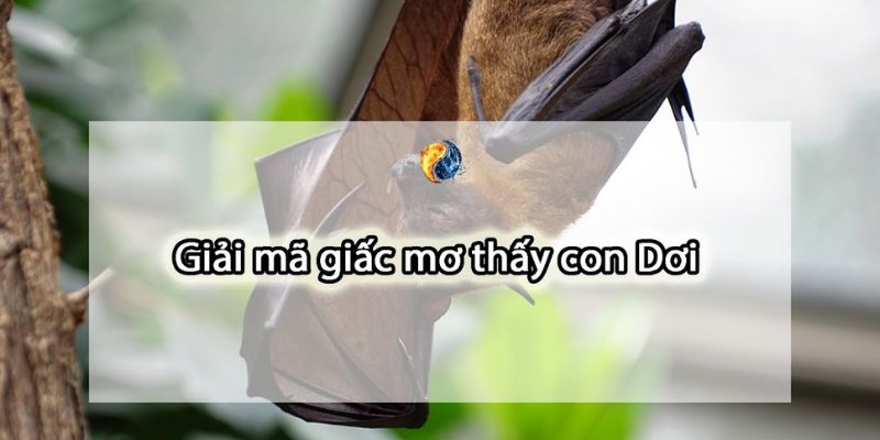 Khám phá chi tiết những giấc chiêm bao thấy dơi thường gặp