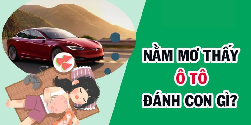 Giải mã những con số có liên quan đến mơ thấy oto