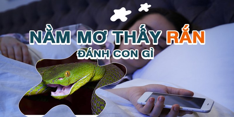 Mơ Thấy Rắn - Cảnh Báo Nguy Hiểm Hay Vận Đỏ?