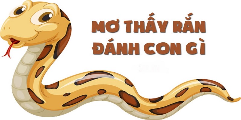 Phân tích những thứ có liên quan đến giấc mơ thấy rắn