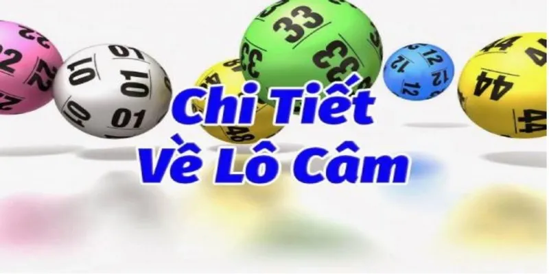 Lô câm là gì?