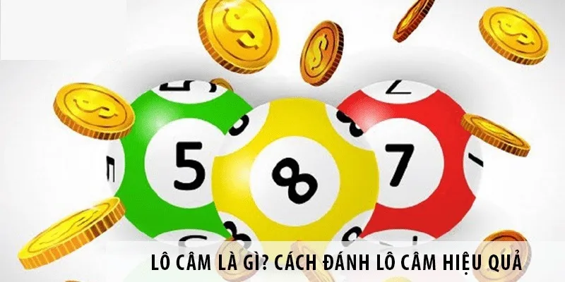 Lô Câm Là Gì? Bật Mí Toàn Bộ Kinh Nghiệm Đánh Đầu Đuôi Câm