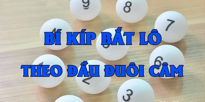Kinh nghiệm chơi lô câm hiệu quả cho tân thủ mới