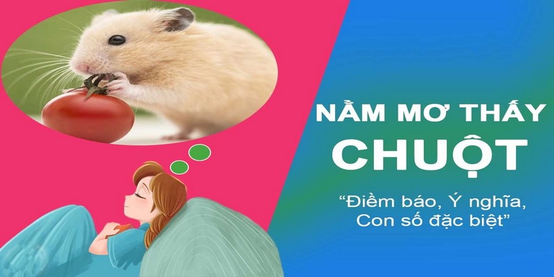 Giải mã giấc mơ thấy chuột mới nhất 2025