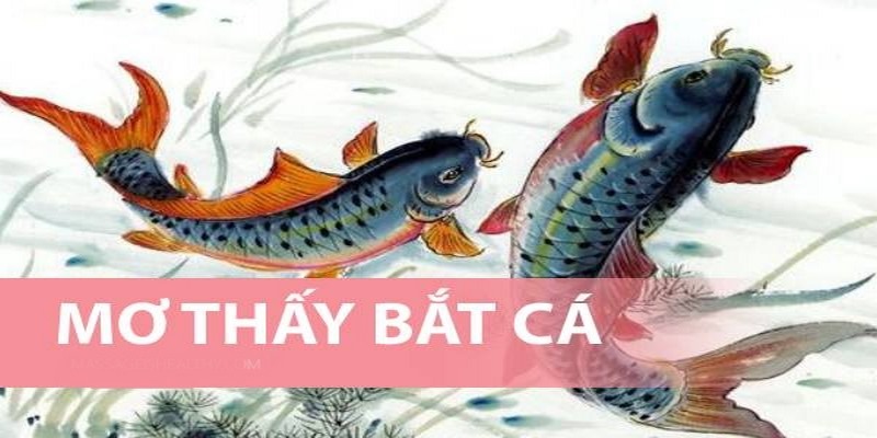 Mơ Thấy Cá - Giải Mã Chiêm Bao Để Biết Điềm Lành Hay Dữ