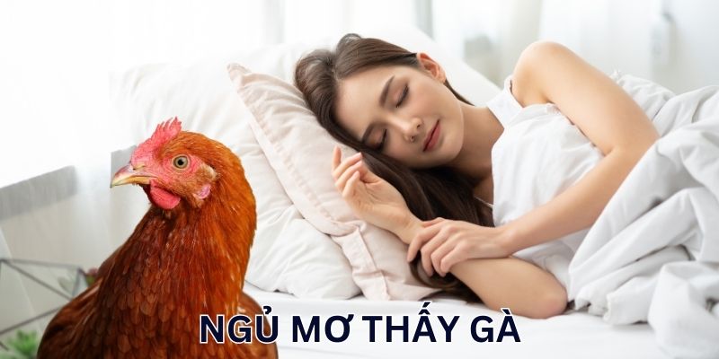 Mơ Thấy Gà Là May Hay Rủi? Con Số Nào Mang Lại Cơ Hội Đổi Đời