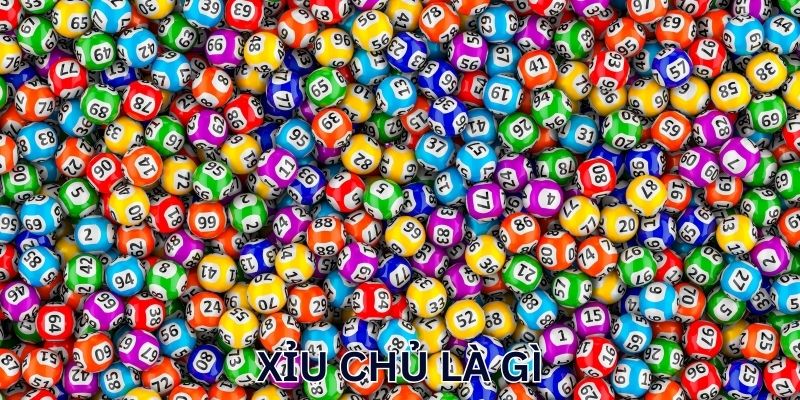 Xỉu Chủ Là Gì? Những Điều Bet Thủ Cần Nắm Khi Giải Trí