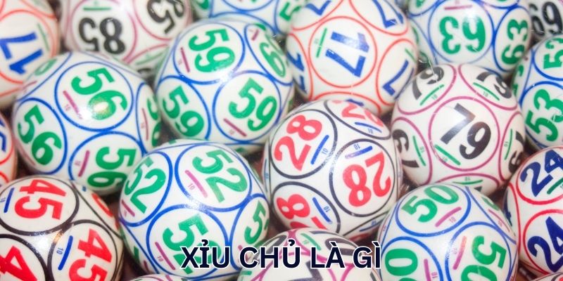 Những điều quan trọng khi chọn xỉu chủ là gì?
