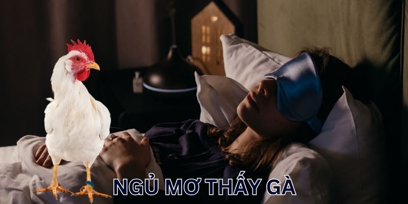 Ý nghĩa giấc mơ thấy gà và con số may mắn trong từng trường hợp