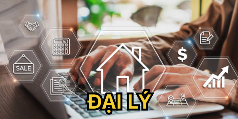 Đại Lý là gì?