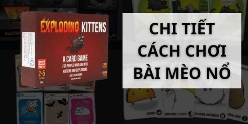 Bật mí chi tiết cách chơi bài mèo nổ cơ bản