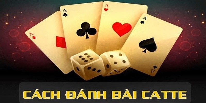 Lý do nên chơi game bài Catte Kqxsfb88