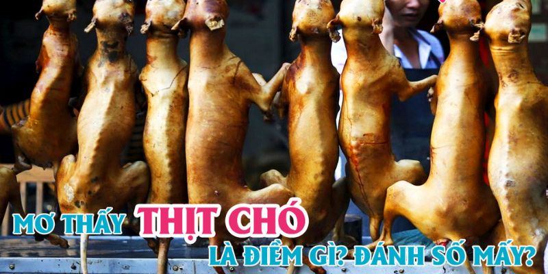 Mơ thấy ăn thịt chó là có điềm báo gì?