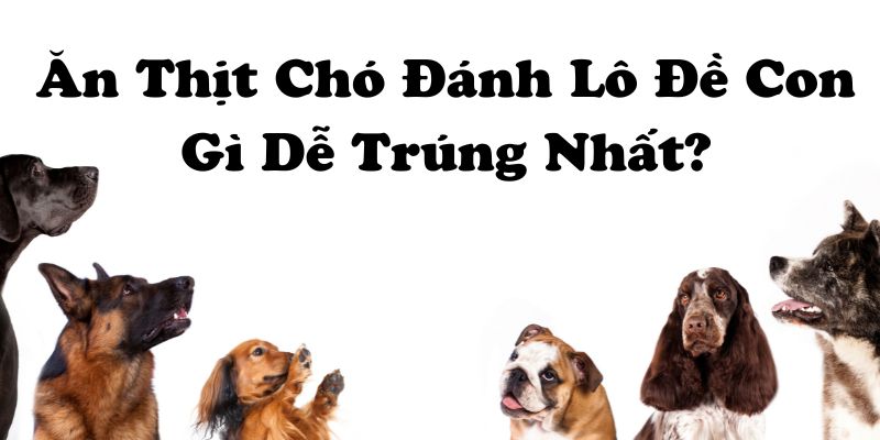 Mơ thấy có rất nhiều người ăn thịt chó sống