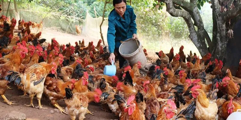 Chất dinh dưỡng hàng đầu không thể thiếu đó là chất đạm