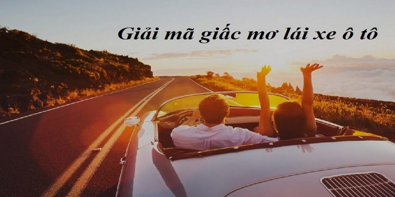 Giải mã giấc mơ lái xe ô tô chi tiết nhất cho lô đề thủ
