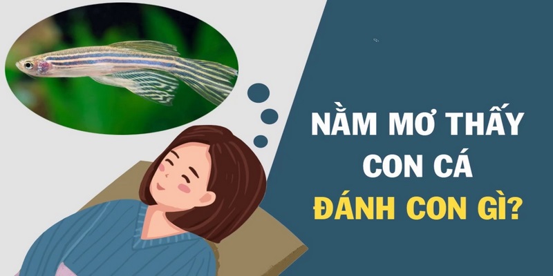 Gợi ý số đẹp khi giải mã giấc mơ bắt được cá