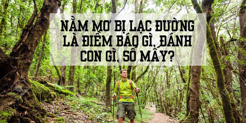Ý nghĩa giải mã giấc mơ đi lạc đường chi tiết nhất