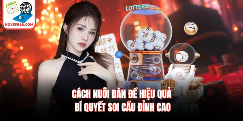 Cách Nuôi Dàn Đề Hiệu Quả - Bí Quyết Soi Cầu Đỉnh Cao