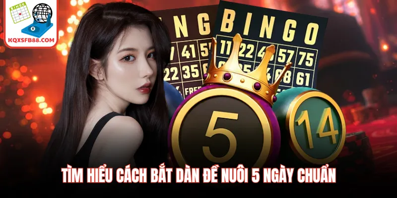 Tìm hiểu cách bắt dàn đề nuôi 5 ngày chuẩn