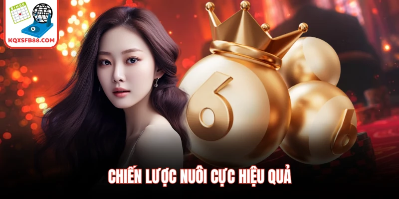 Chiến lược nuôi cực hiệu quả
